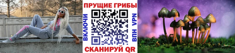 где продают наркотики  Славск  Псилоцибиновые грибы ЛСД 