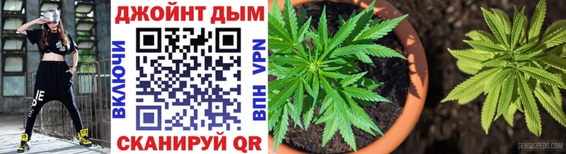 Конопля SATIVA & INDICA Славск